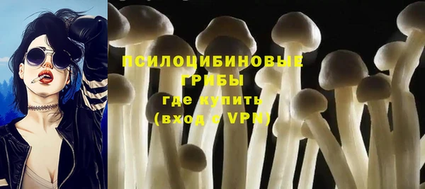 амфетамин Белокуриха